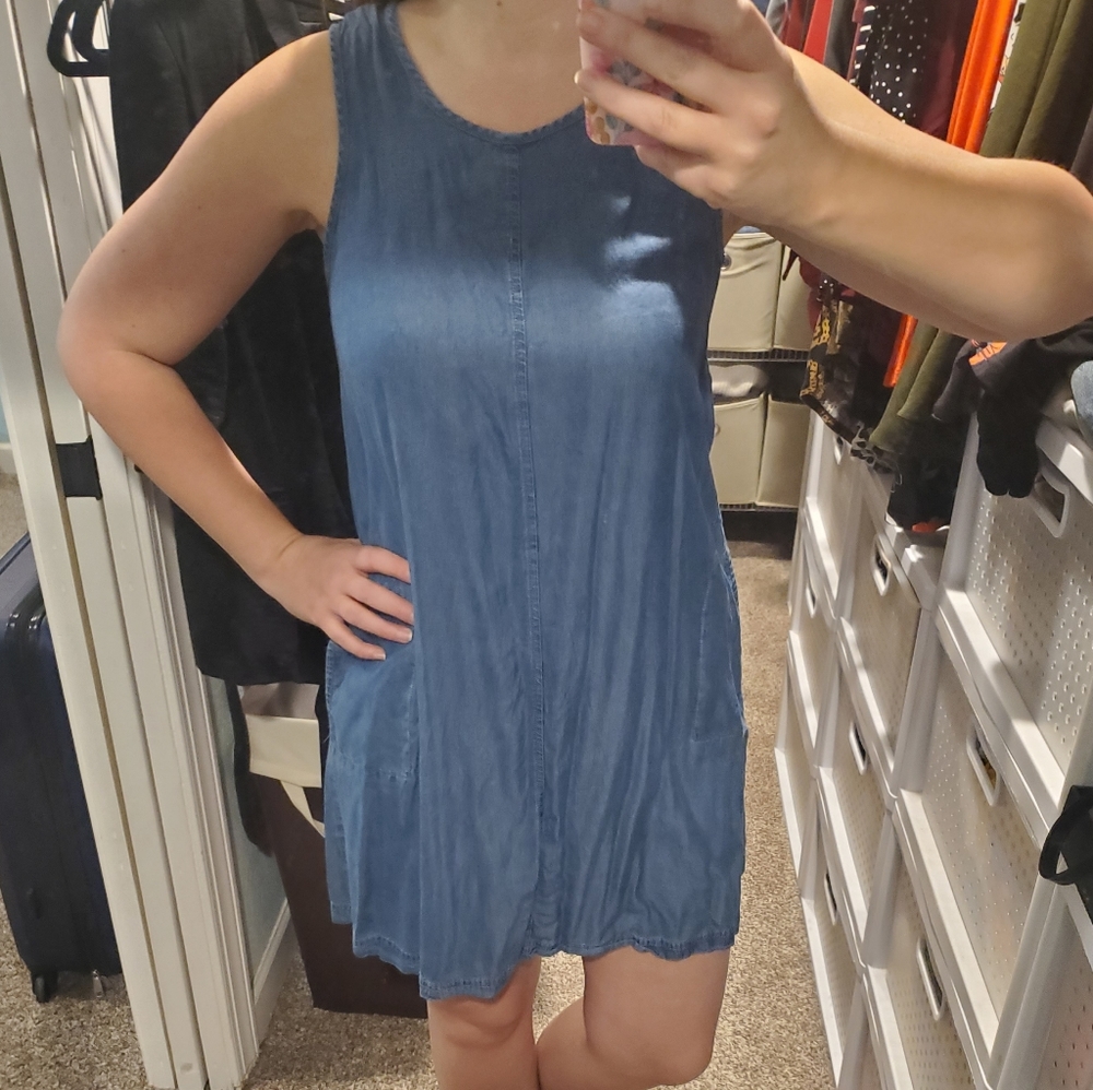 Dalia chambray dress